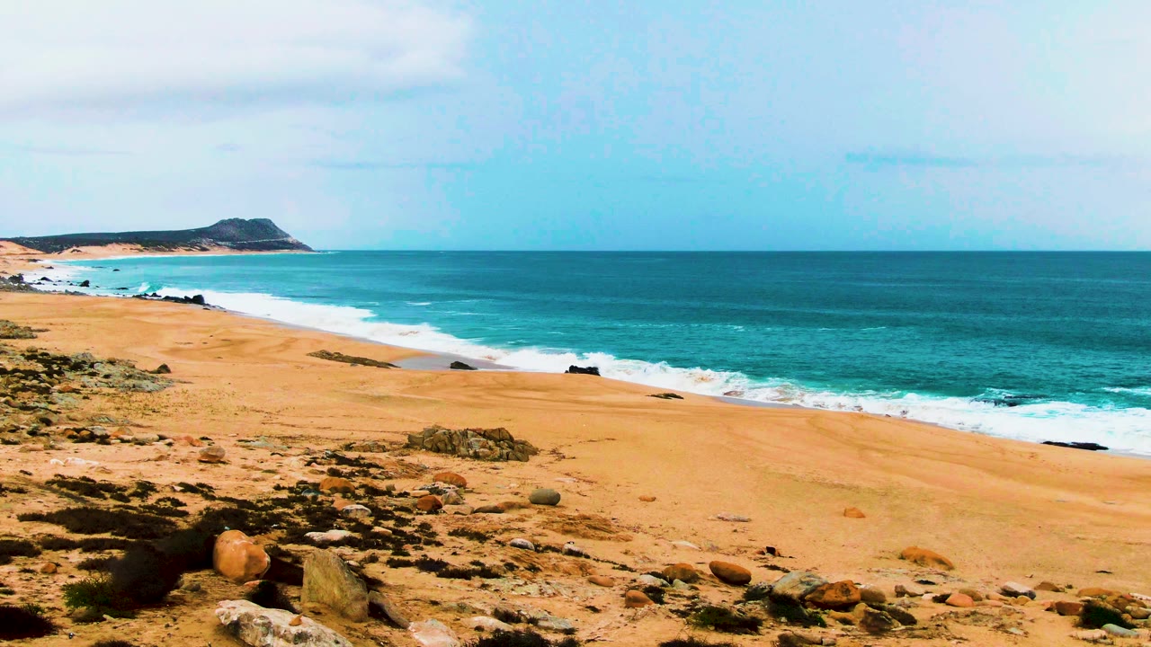 Buzzards Beach shoreline with a foamy wave band reaching across the sand, darker foreground rocks and scrub, blue-green ocean, and no visible people.