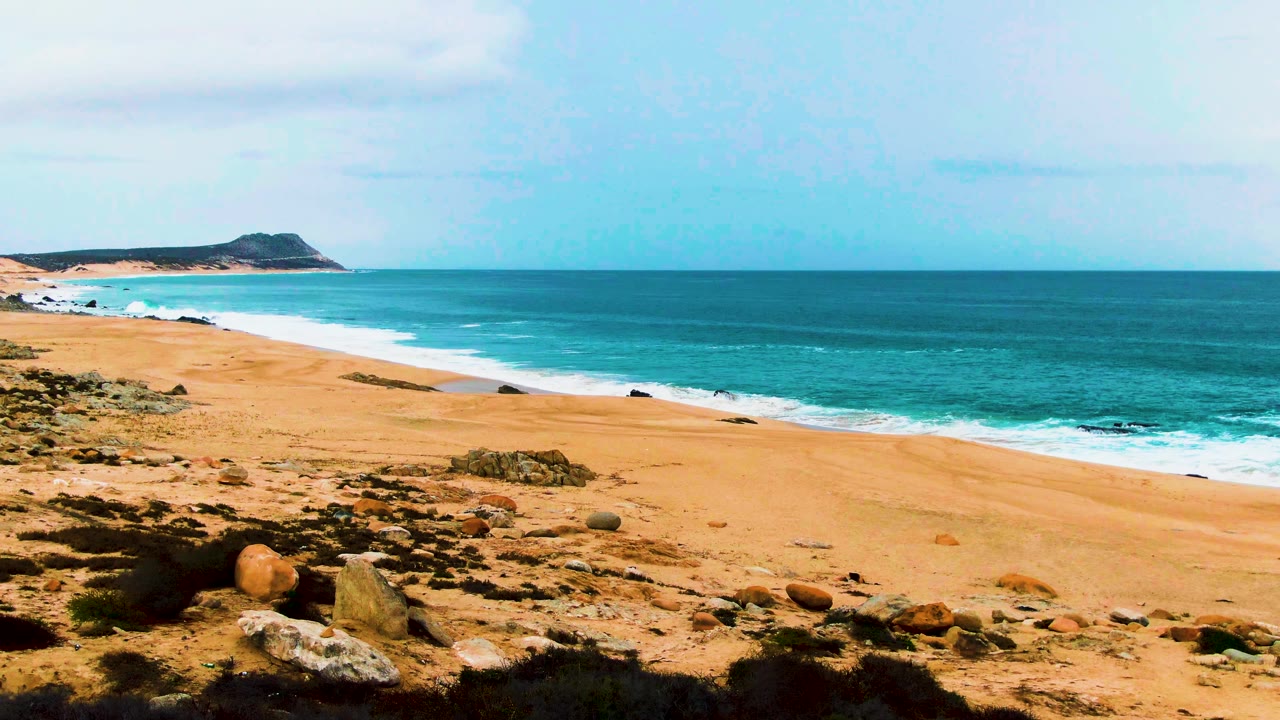 Wide coastal frame at Punta Buzzards with the surf line slightly farther along the sand, scattered rocks and low plants in the foreground, and no visible people.