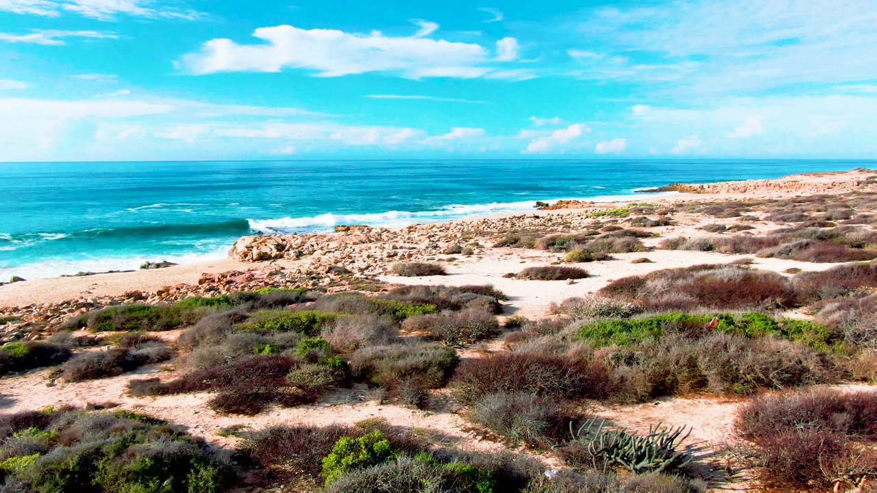 Punta Buzzards coastal dunes with low scrub, rocky sand, turquoise ocean, scattered clouds, and no visible people at the start of the clip.