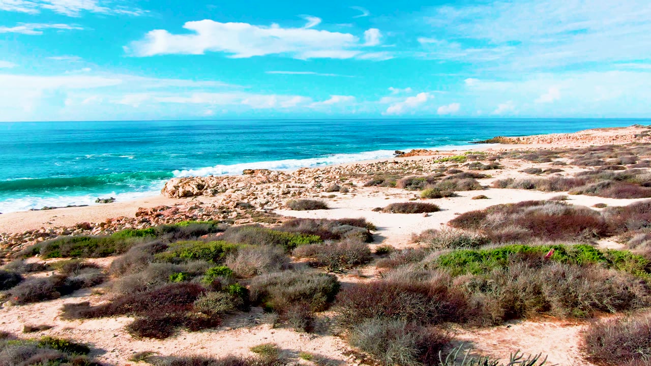 Turquoise ocean and breaking waves behind sandy dunes with brush.