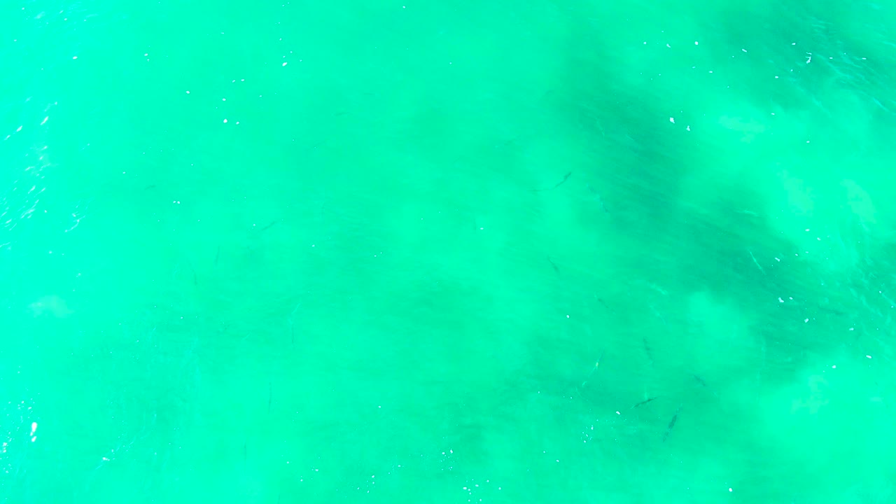 Blue-green shallow ocean surface with bright specks of reflected light