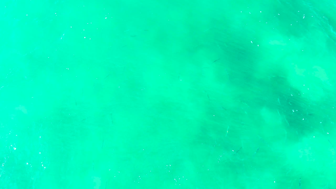 Turquoise water at Punta Buzzards with soft wave texture, scattered tiny bubbles, and darker underwater areas shifting across the frame, with no visible people.