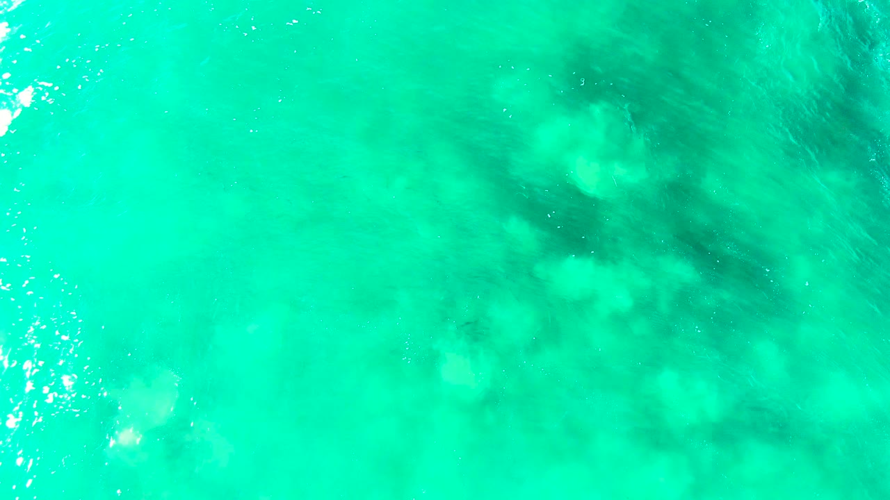 Overhead Punta Buzzards water frame with translucent aqua color, soft ripple pattern, darker seabed patches, and no visible people.