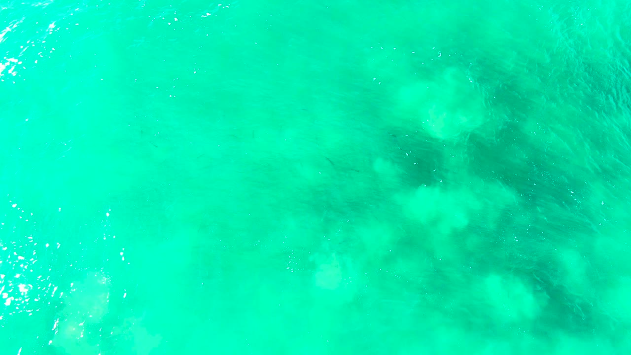 Top-down view of shallow turquoise water at Punta Buzzards, with dark underwater areas set against bright aqua surface and no visible people.