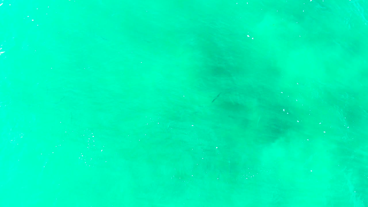 Clear aqua water with small dark fish shapes near the surface.