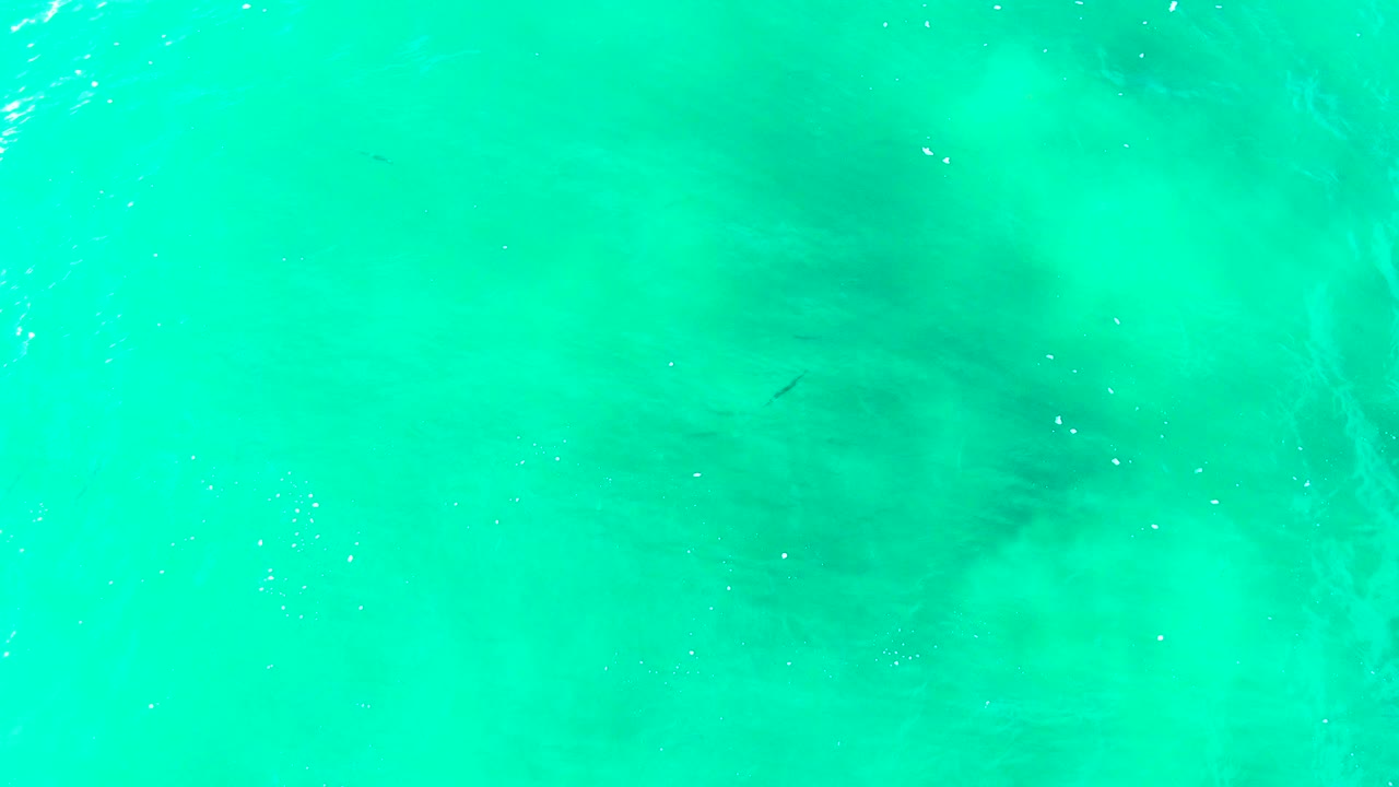 Overhead turquoise water in Baja California Sur with pale ripple streaks and darker submerged shapes spread across the frame, with no visible people.