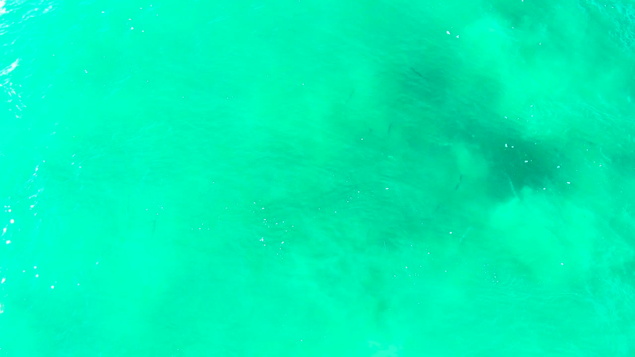 Clear turquoise sea water at Punta Buzzards shows faint darker underwater shapes and scattered surface highlights, with no visible people.