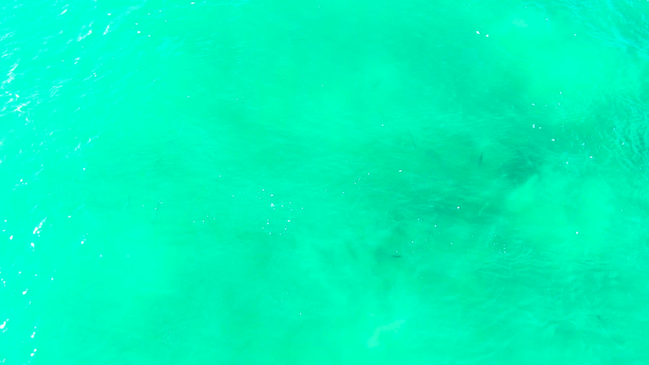 Bright turquoise ocean surface at Punta Buzzards fills the frame, with soft darker areas below the water and no visible people.