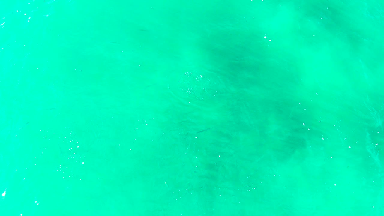 Top-down view at Punta Buzzards showing a faint large fish shape under bright turquoise water, with small surface bubbles and no visible people.