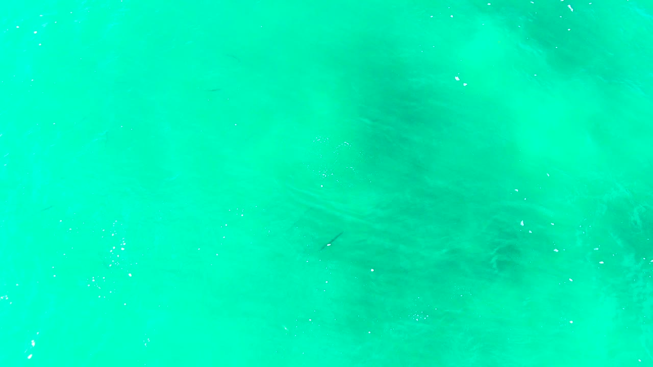 The fish silhouette sits just below the turquoise surface, with soft darker underwater patches and tiny bubbles visible across the Punta Buzzards frame.