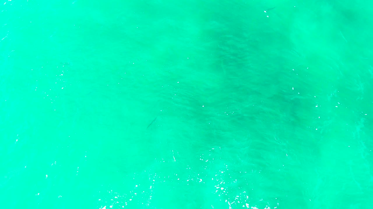 Bright blue-green shallow ocean water at Punta Buzzards with soft surface movement, faint white flecks, and no visible people.