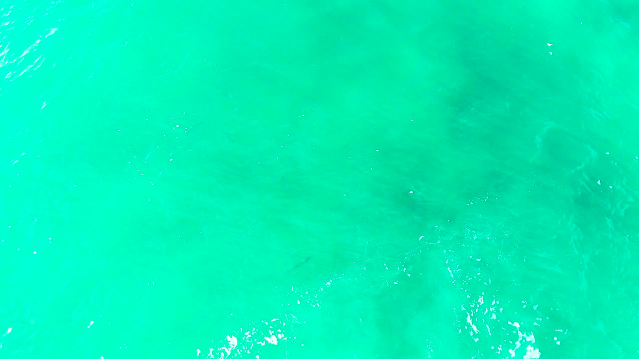 Clear turquoise sea surface at Punta Buzzards fills the frame with gentle ripples, soft underwater shading through the water, and no visible people.