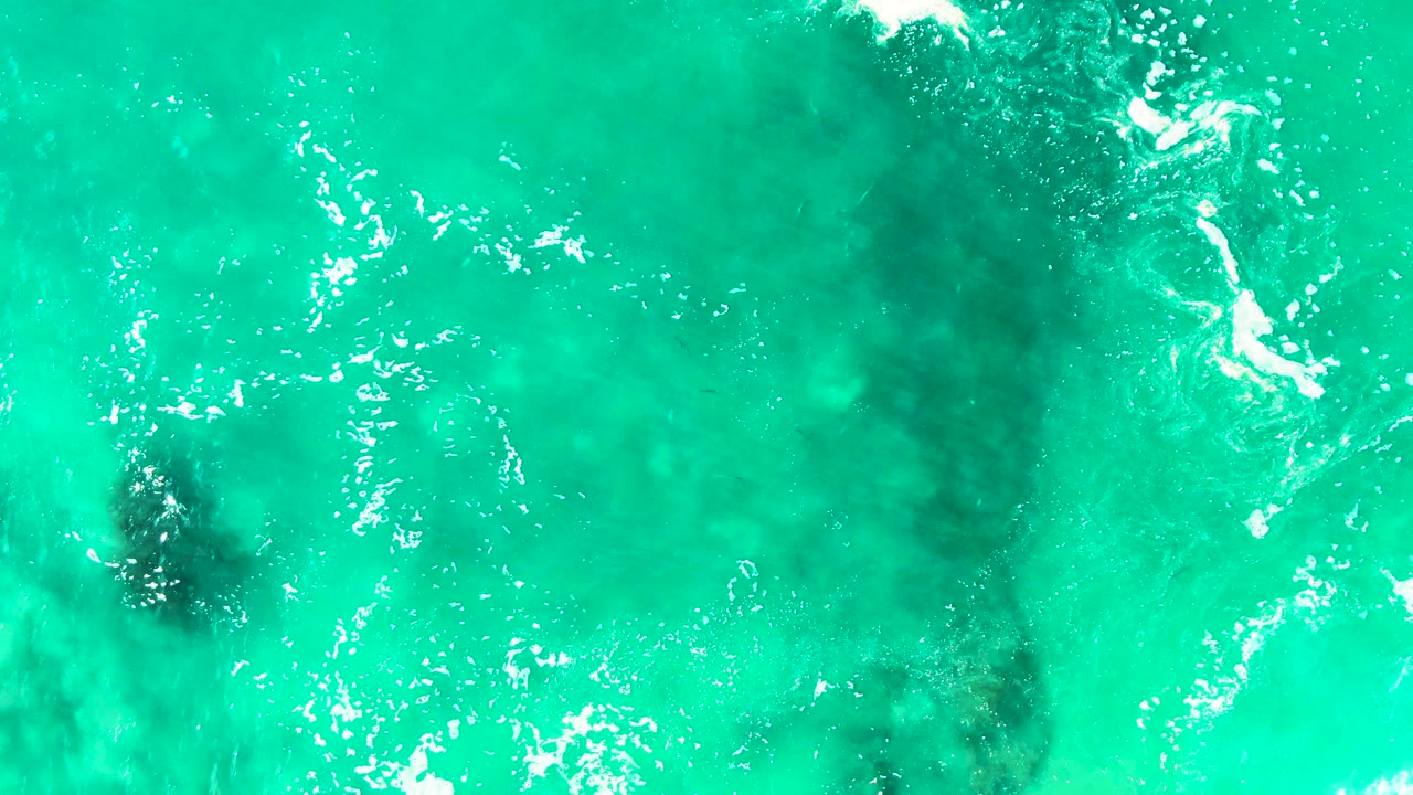 Clear green-blue water at Punta Buzzards with a dark rock patch left of frame, scattered white surface foam, and no visible people.