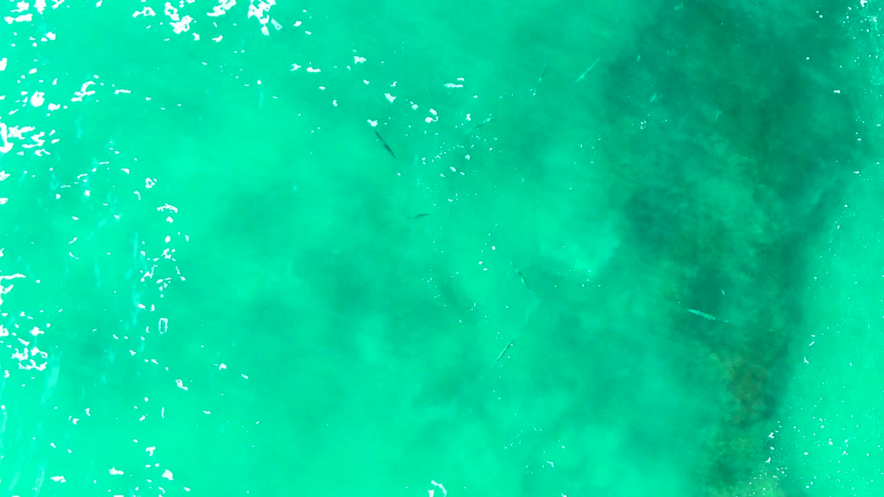 Clear Punta Buzzards water fills the frame with a pale seabed visible below, darker green submerged areas, scattered white ripples, and no visible people.
