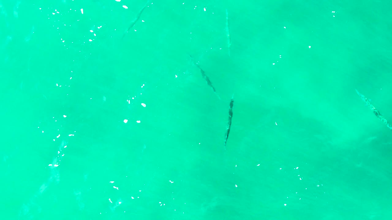 Small fish appear at varying depths beneath the turquoise surface at Punta Buzzards, Baja California Sur, with pale underwater color and no visible people.