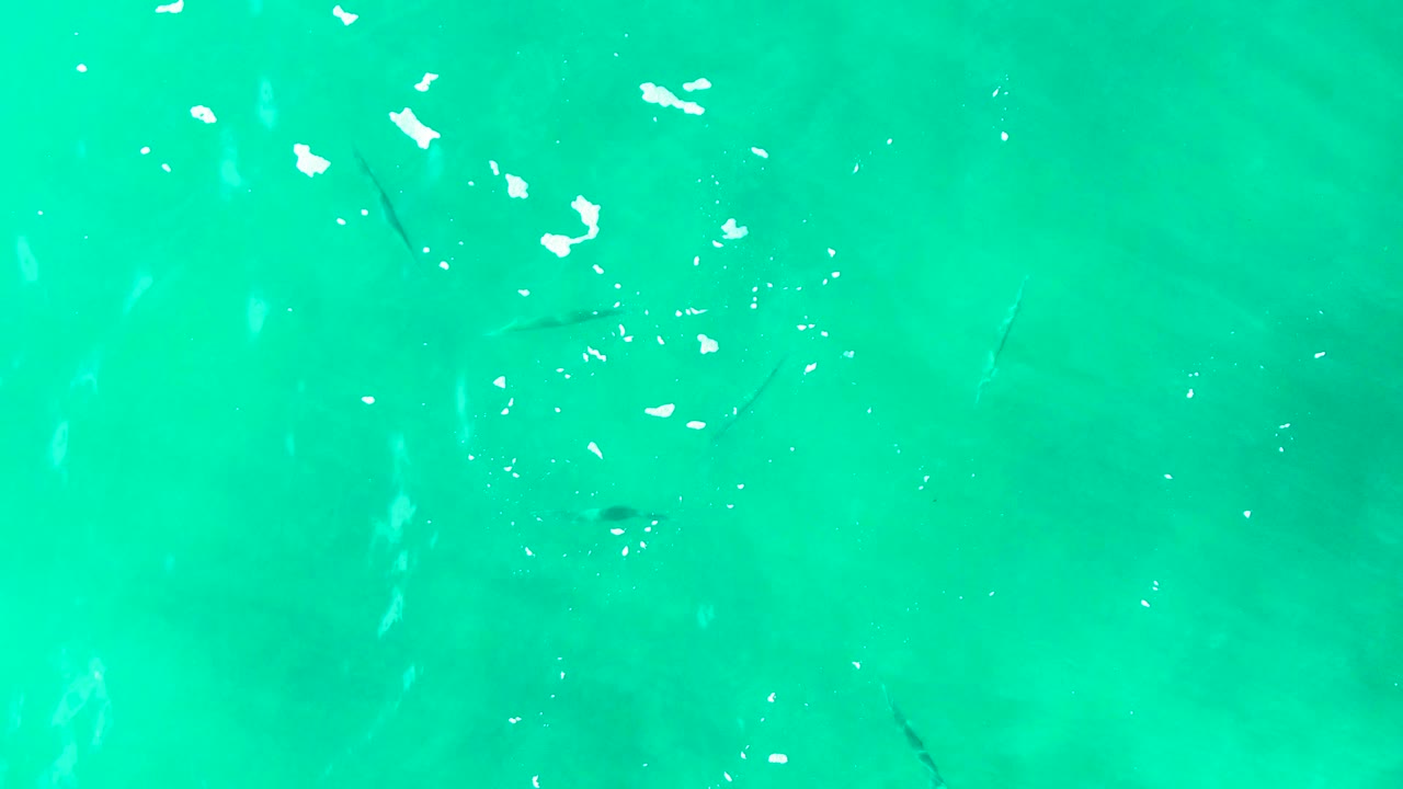 Small fish appear under bright turquoise water at Buzzards Beach East Cape in Baja California Sur, with scattered white surface flecks and no visible people.
