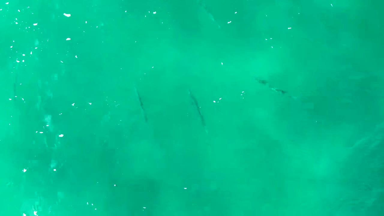 Overhead view of clear turquoise water at Buzzards Beach, Baja California Sur, with faint dark fish shapes below the rippled surface and no visible people.