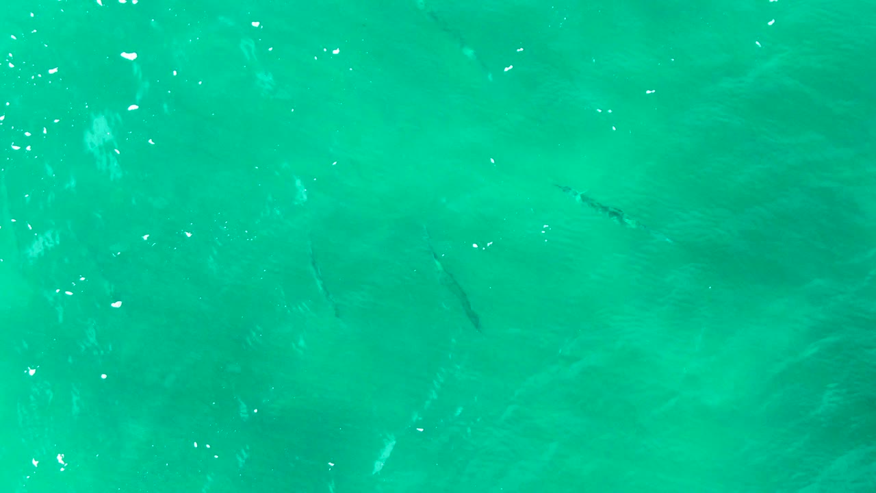 Clear green-blue water with fish silhouettes and scattered white reflections.