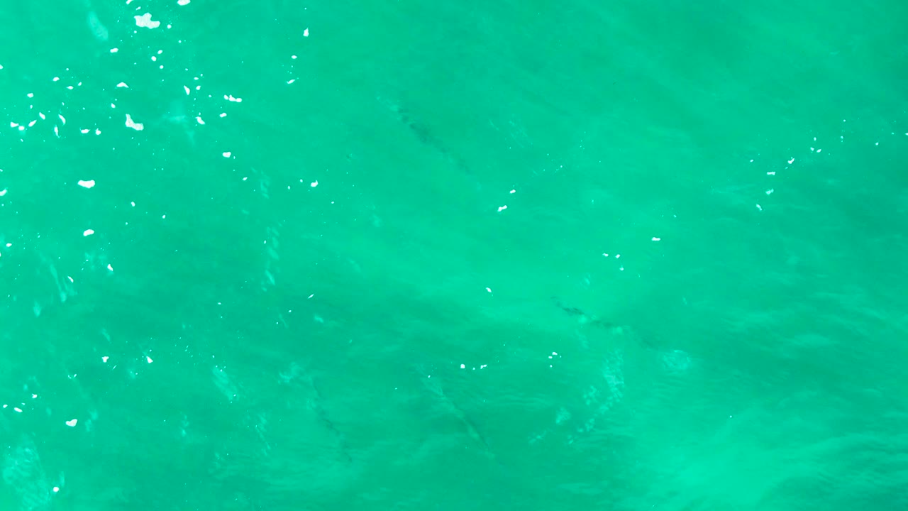 An overhead frame from Buzzards Beach, Baja California Sur, shows turquoise ocean texture with a few faint fish below the surface and brighter sparkle near the upper water layer, with no visible people.
