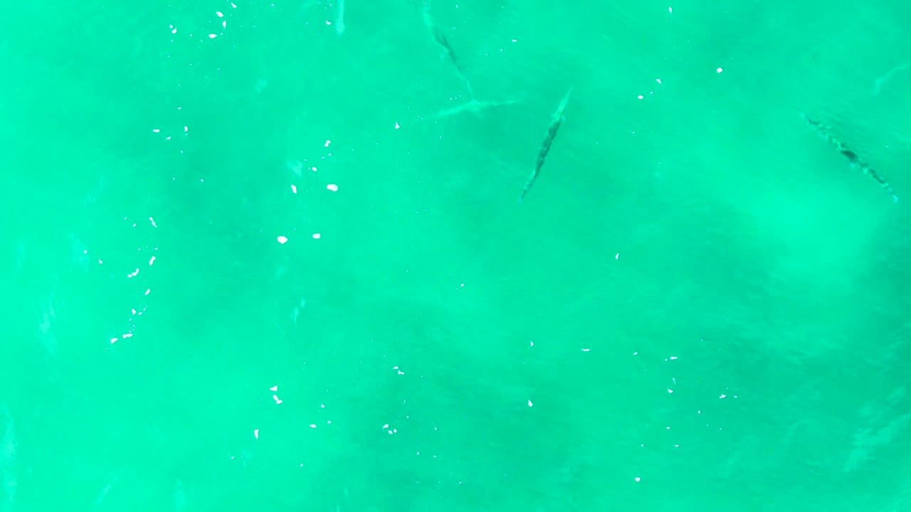 Small fish remain visible below bright turquoise water at Buzzards Beach in Baja California Sur, Mexico, with foam shifted across the surface and no visible people.