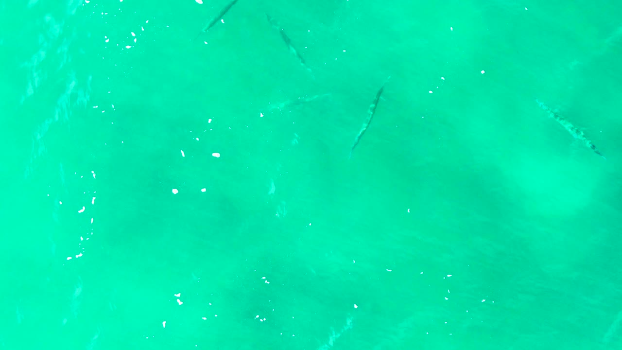 Several small fish appear as dark streaks below clear turquoise water at Buzzards Beach in Baja California Sur, Mexico, with light surface specks and no visible people.