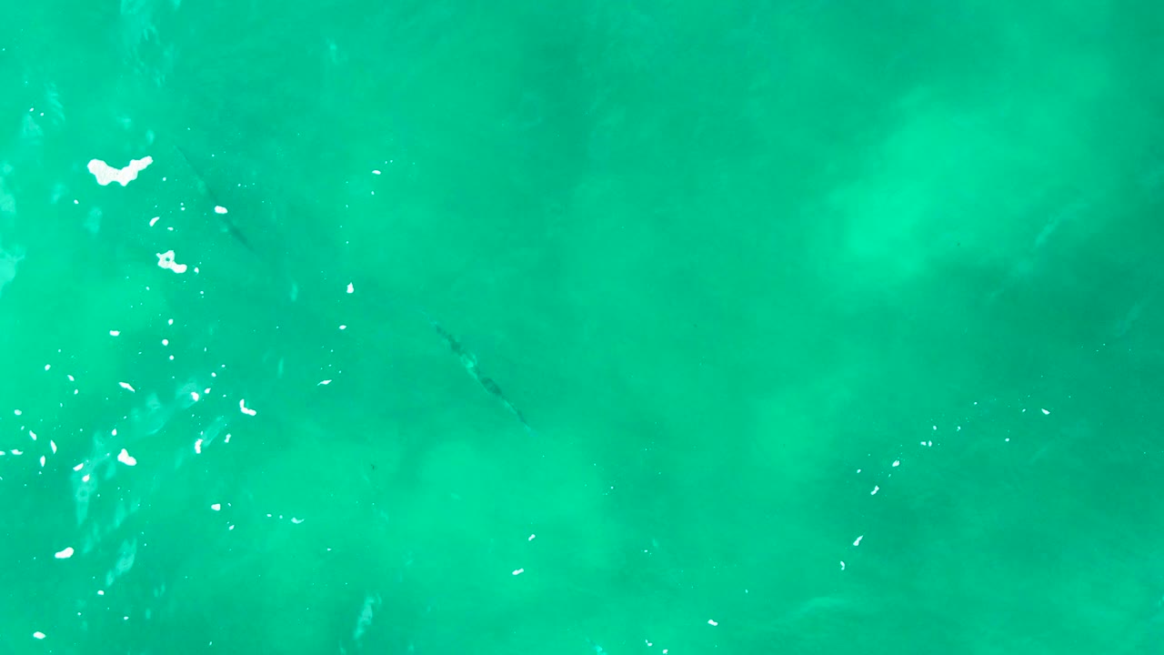 Clear turquoise water at Punta Buzzards with a small dark fish shape under the surface, scattered white reflections, and no visible people.