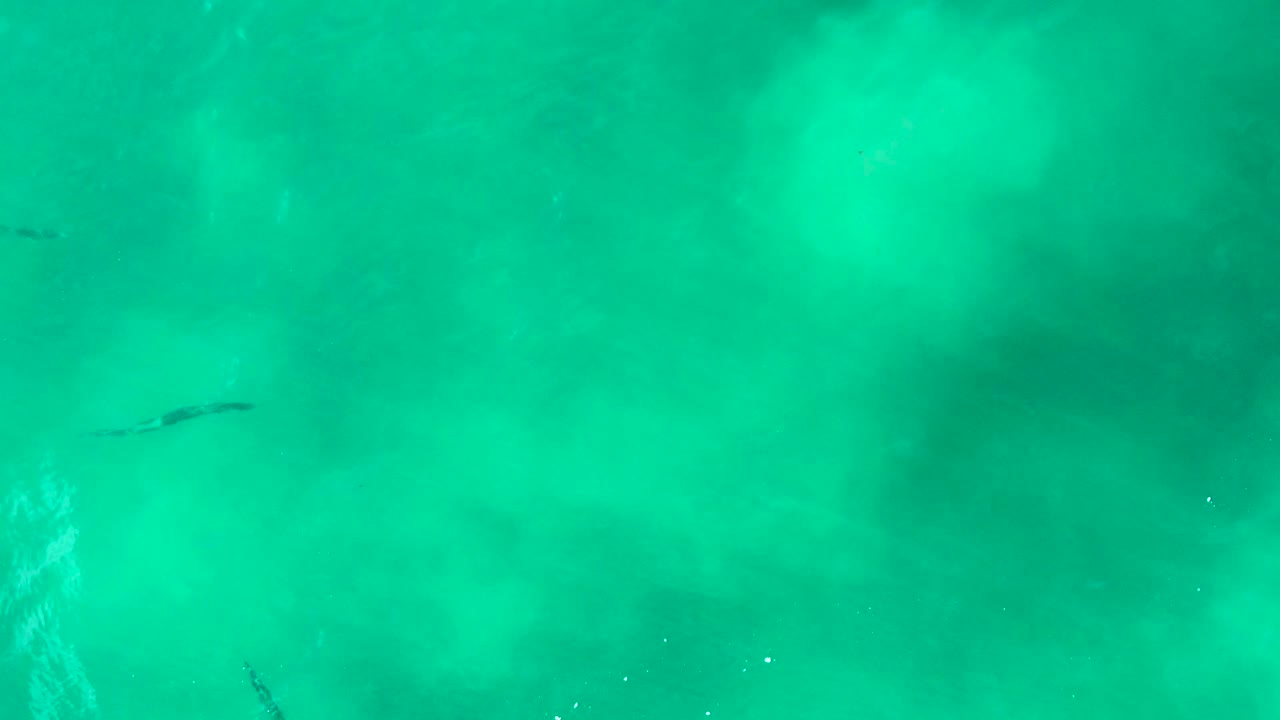 A dark shark shape appears near the left side of turquoise water at Punta Buzzards, Baja California Sur, with pale underwater patches and no visible people.