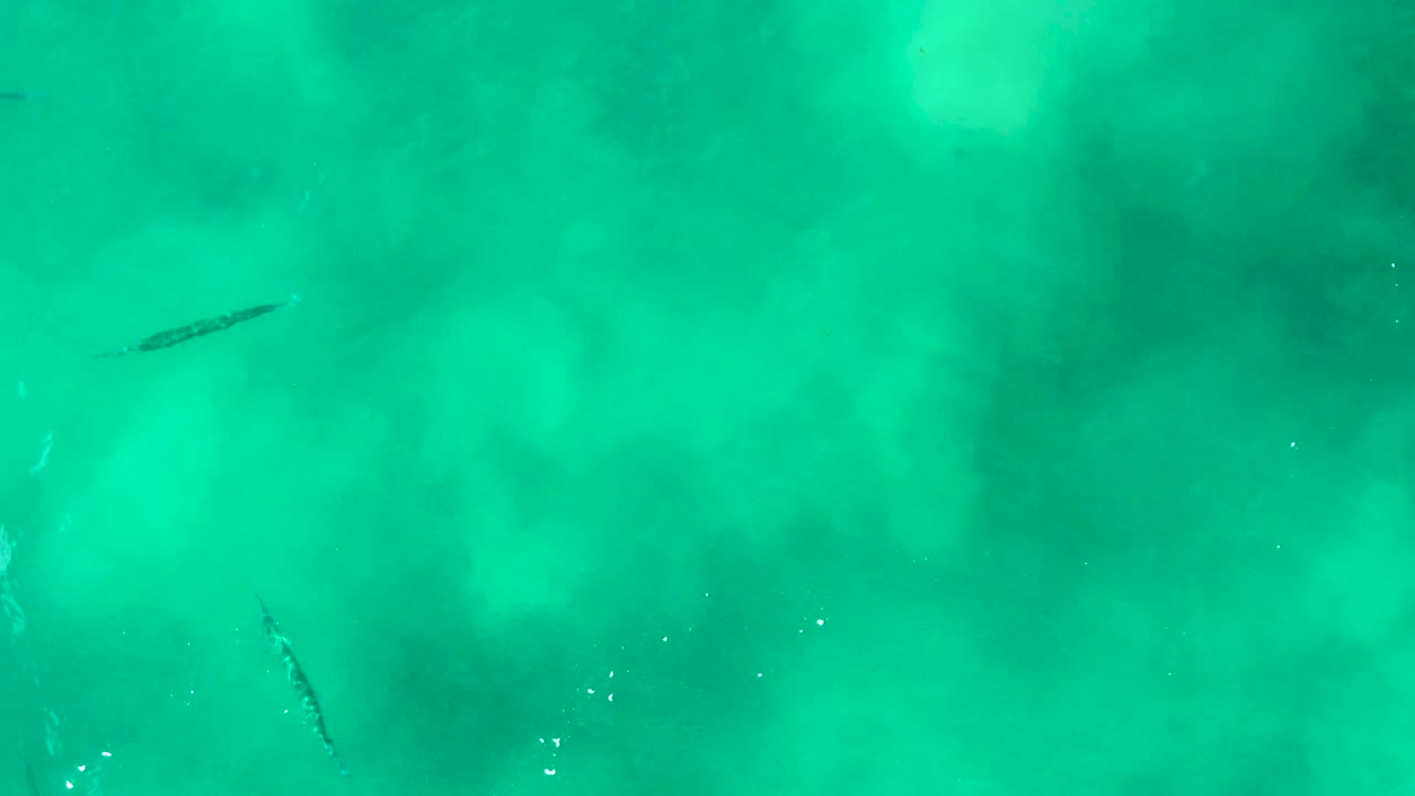 A small dark shark form sits in the upper left area of bright turquoise ocean at Punta Buzzards, with diffuse underwater color variation and no visible people.