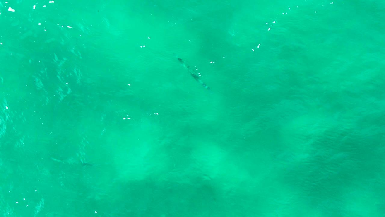 Overhead view at Punta Buzzards, Baja California Sur, showing clear turquoise water with small dark fish shapes and bright surface flecks, no visible people.