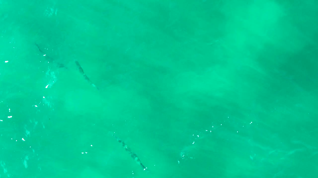 Straight-down view at Punta Buzzards, Baja California Sur, with blue-green ocean surface texture, small fish shapes, and soft lighter patches below, no visible people.