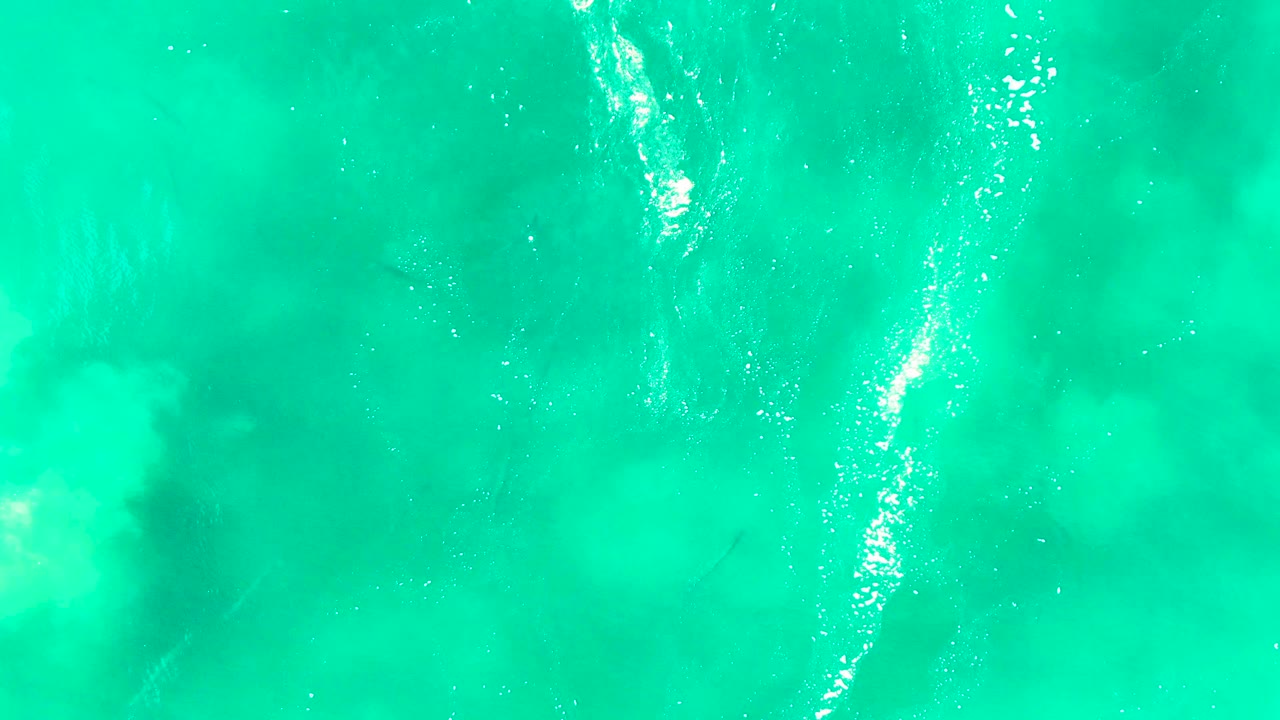 Bright turquoise water at Punta Buzzards, Baja California Sur, with a vertical streak of white foam and a small dark fish shadow under the surface, no visible people.