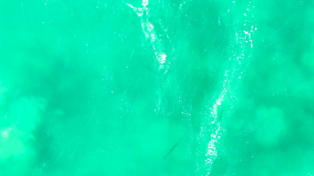 Overhead turquoise ocean surface at Punta Buzzards, Baja California Sur, with rippled highlights, soft foam, and a faint submerged fish shadow, no visible people.