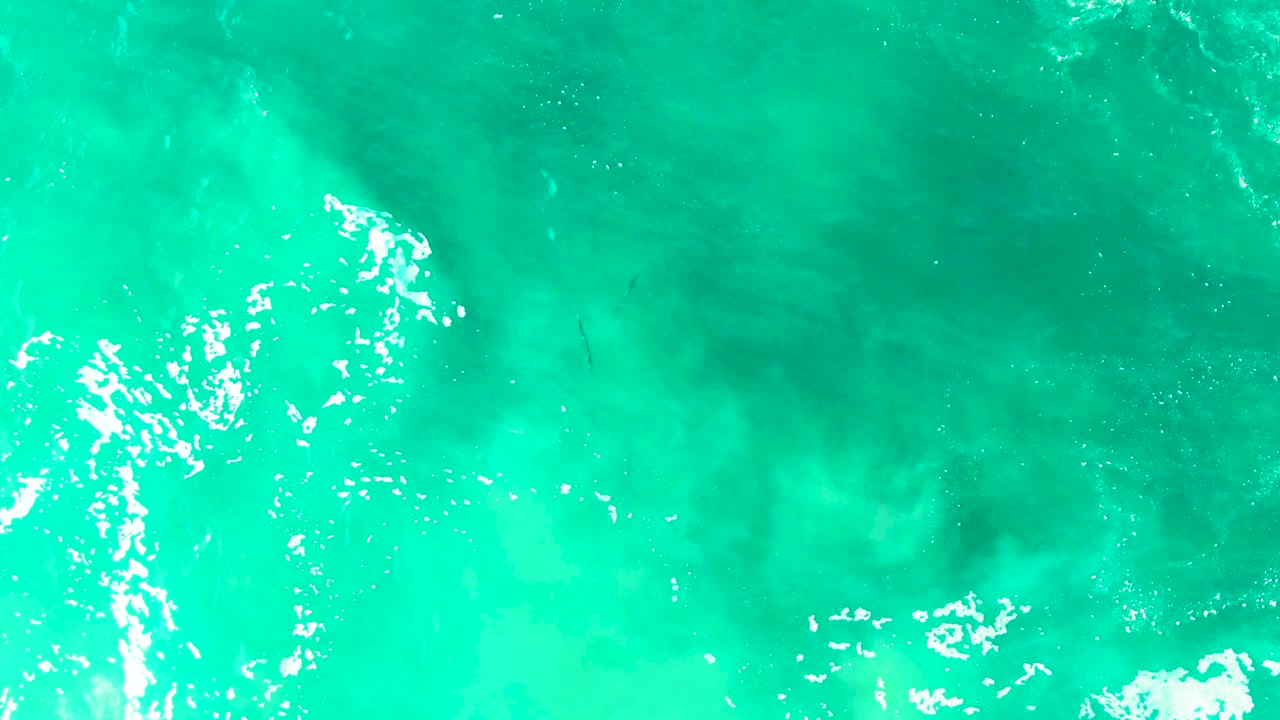 Overhead East Cape water surface with white foam pulling in from the left edge, open turquoise water to the right, and no visible people.