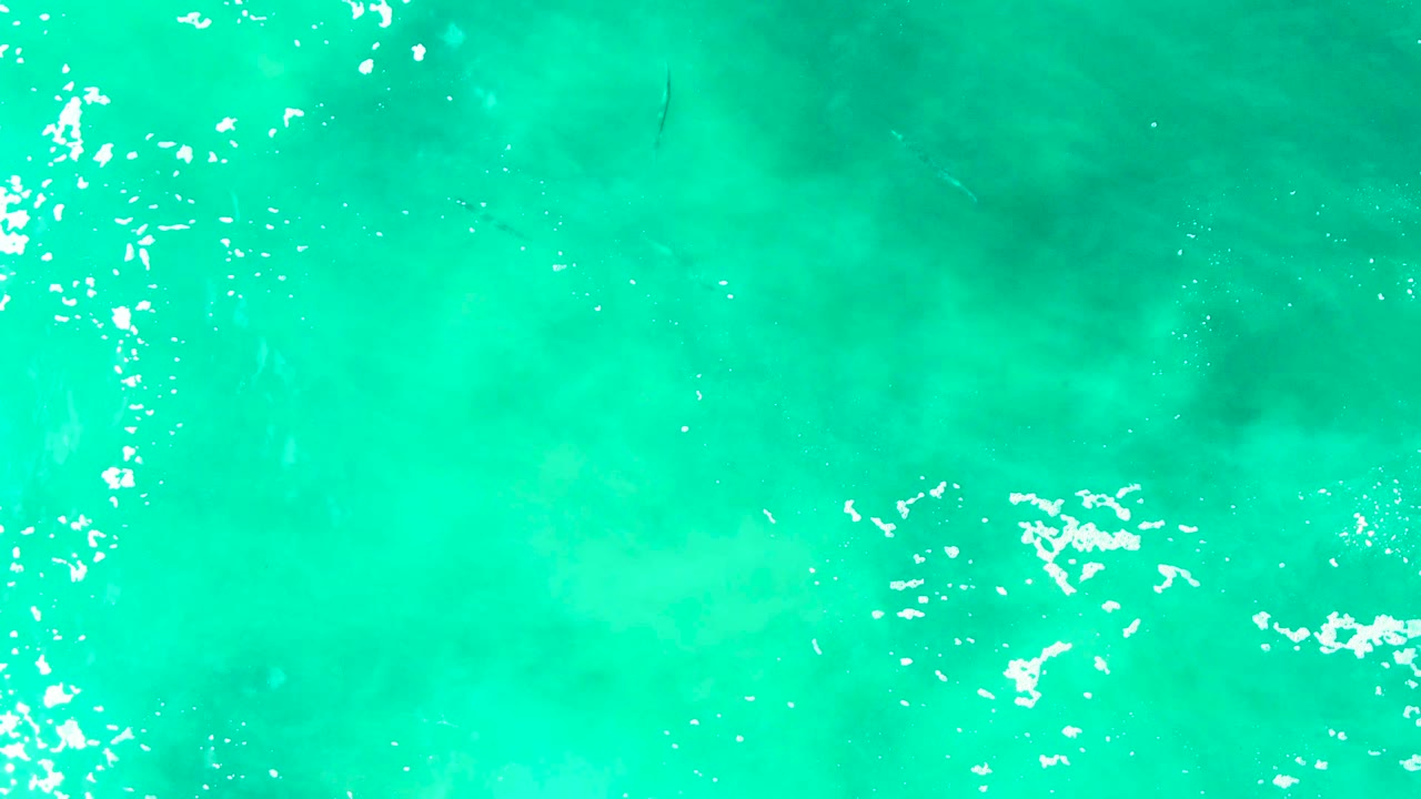 Overhead view of turquoise shallow water at Punta Buzzards with small dark fish beneath the surface, bright white reflections near the top edge, and no visible people.