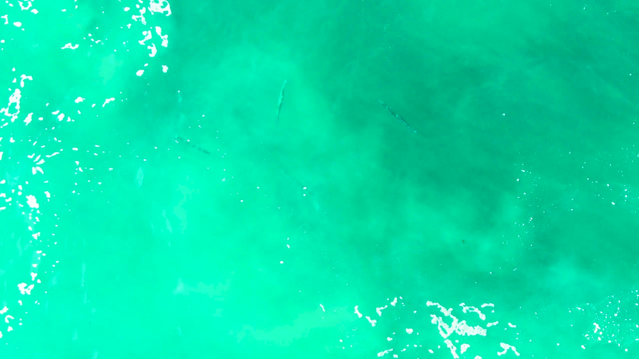 Overhead view in Punta Buzzards showing scattered small fish in turquoise shallow ocean water, soft darker patches below, and white surface highlights near the upper edge, with no visible people.