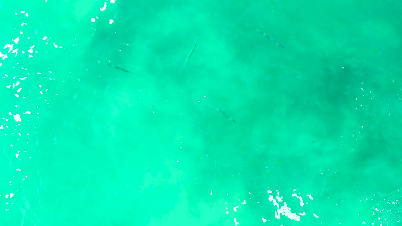 Clear turquoise ocean water with faint small fish below the surface.