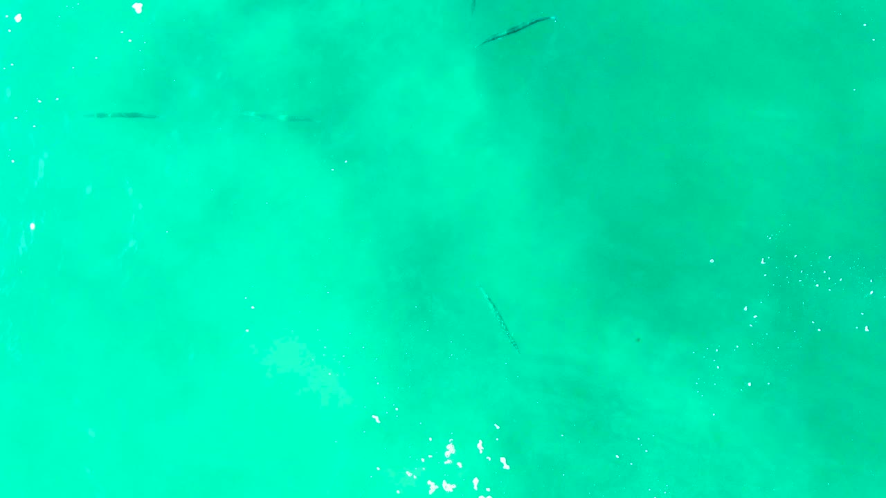 Turquoise ocean water with small fish shadows and white surface foam.