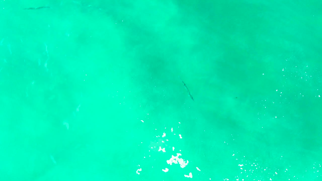 Top-down ocean view at Punta Buzzards showing turquoise water, a white foam cluster near the lower left, faint fish silhouettes, and no visible people.