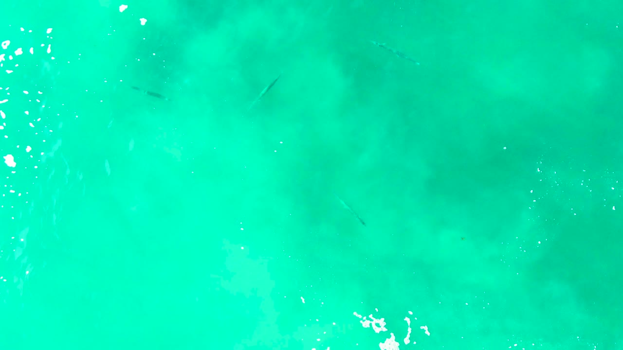 Clear turquoise water at Buzzards Beach, East Cape, Baja California Sur, with small dark fish below the surface, scattered white bubbles near the top edge, and no visible people.