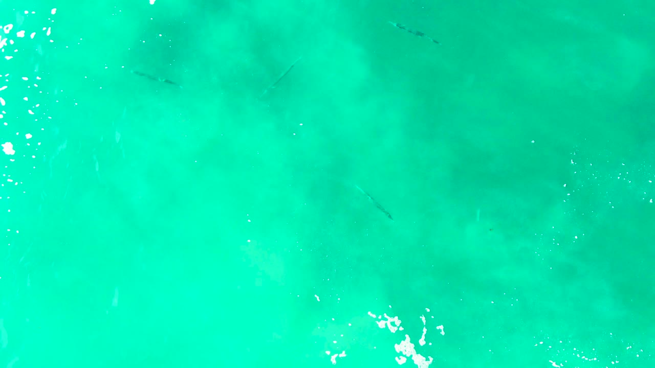 Small fish appear under clear turquoise water at Buzzards Beach, East Cape, Baja California Sur, with bright white surface flecks along the upper left and no visible people.