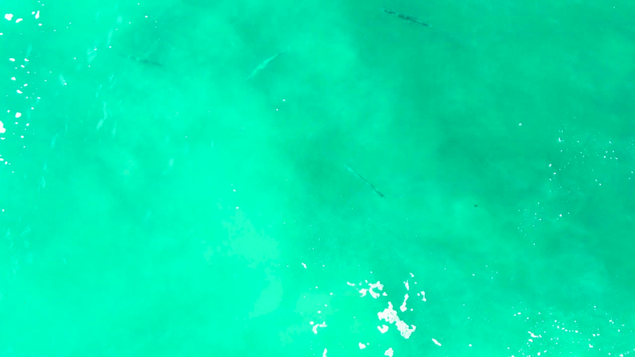 Clear turquoise ocean water at Buzzards Beach, East Cape, Baja California Sur, shows small fish near the center, pale underwater patches, white splash marks, and no visible people.