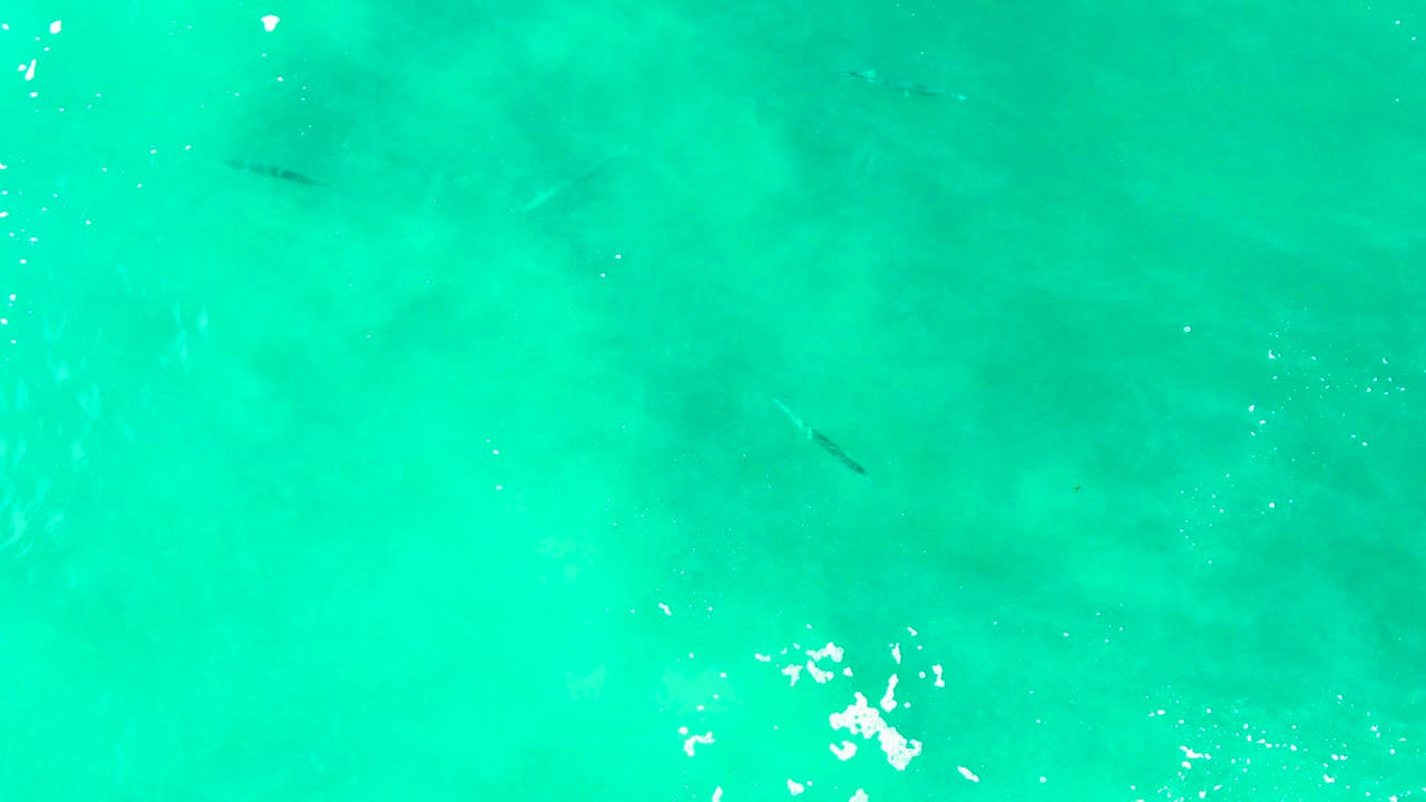 Overhead turquoise water with small fish and surface bubbles.