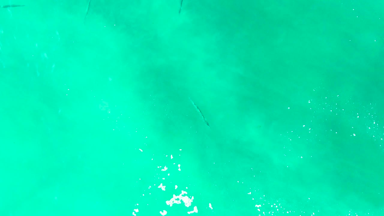 Turquoise ocean water with faint fish shapes and small surface bubbles.
