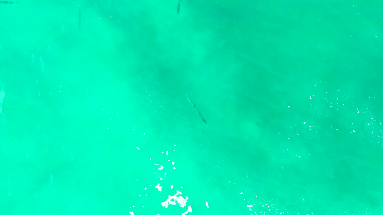 Clear turquoise ocean water at Punta Buzzards with bright white splash marks near the lower left and a faint dark fish shape under the surface, no visible people.