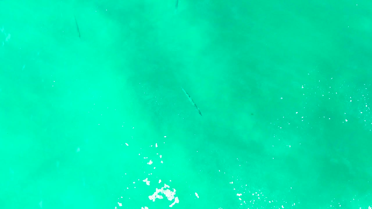 Blue-green water at Punta Buzzards fills the frame, with scattered surface bubbles to the right and a subtle dark fish shape under the water, no visible people.