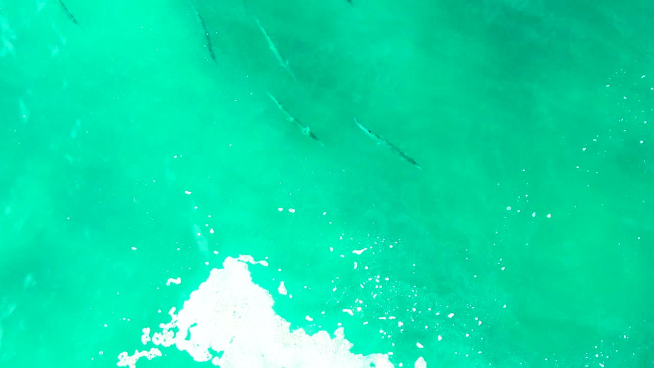 Turquoise ocean water with dark fish shapes and white foam at the lower edge.