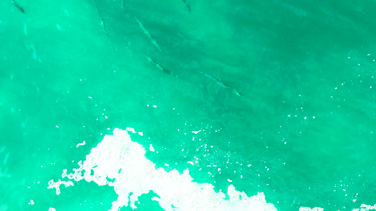 At Punta Buzzards in Baja California Sur, a larger white foam patch sits near the bottom of the turquoise water while several dark fish shapes remain visible under the surface, with no visible people.