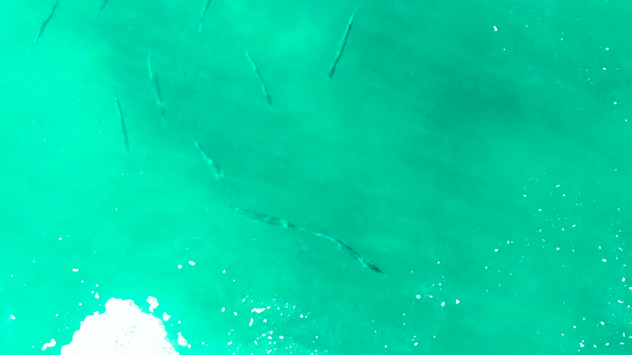 At Punta Buzzards in Baja California Sur, faint fish shapes appear under smoother turquoise water while a broken white foam patch enters from the lower left, with no visible people.