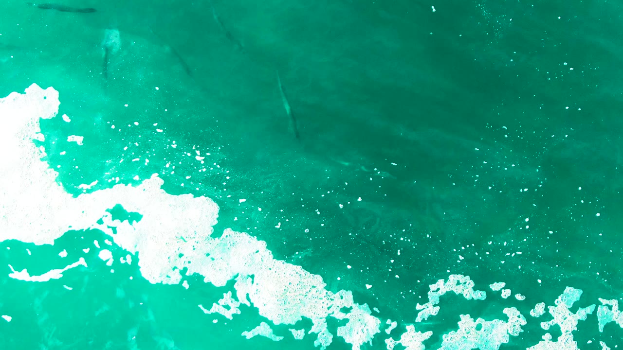 Turquoise water at Punta Buzzards with white foam along the lower left and several small dark fish shapes below the surface, no visible people.