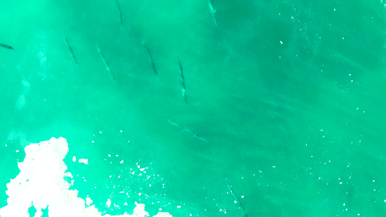 Turquoise ocean surface with faint fish shapes and white foam at the lower left.